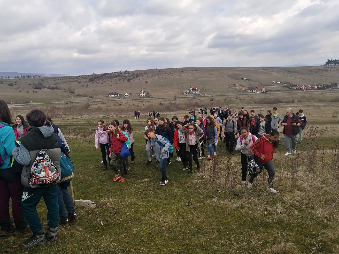Újabb csemeteültetési akció a Napkapu erdőben